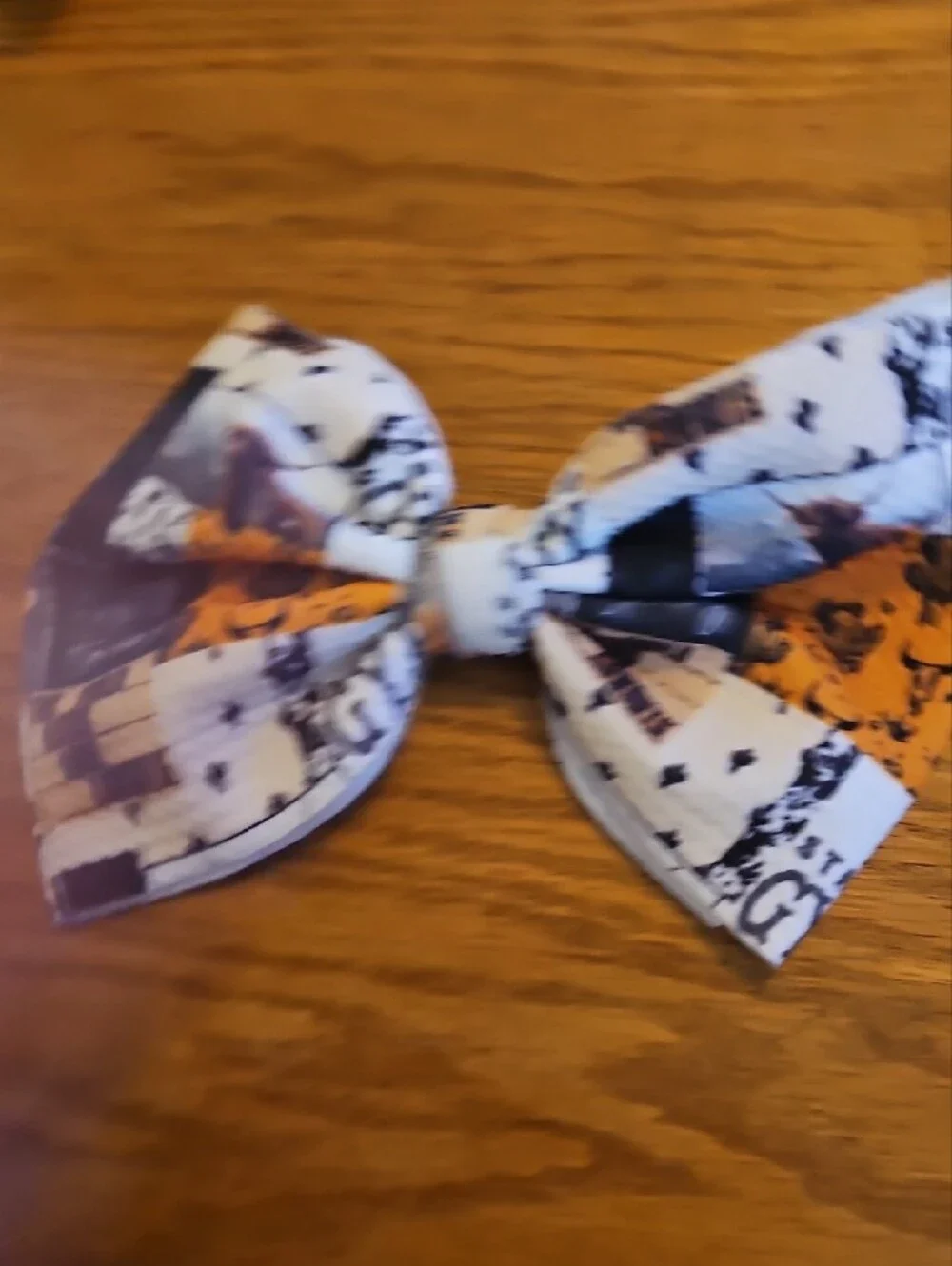 Western Hair Bows On Clip